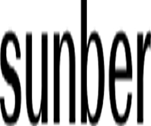 Sunber glueless wigs start at $69! 100% human hair, no glue needed—just wear & go. Curly, bob & more styles. Easy, secure, flawless. Shop now!